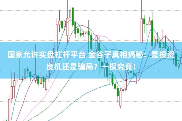 国家允许实盘杠杆平台 金谷子真相揭秘：是投资良机还是骗局？一探究竟！