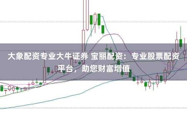 大象配资专业大牛证券 宝丽配资：专业股票配资平台，助您财富增值