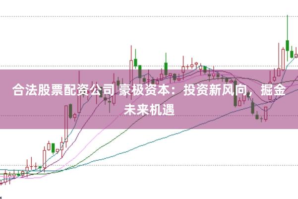 合法股票配资公司 豪极资本：投资新风向，掘金未来机遇