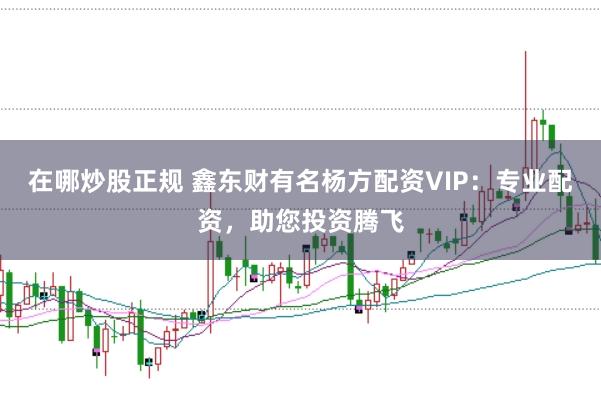 在哪炒股正规 鑫东财有名杨方配资VIP：专业配资，助您投资腾飞