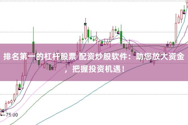 排名第一的杠杆股票 配资炒股软件：助您放大资金，把握投资机遇！