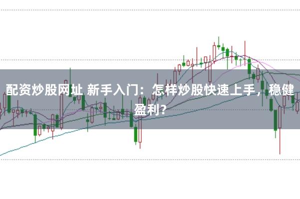 配资炒股网址 新手入门：怎样炒股快速上手，稳健盈利？