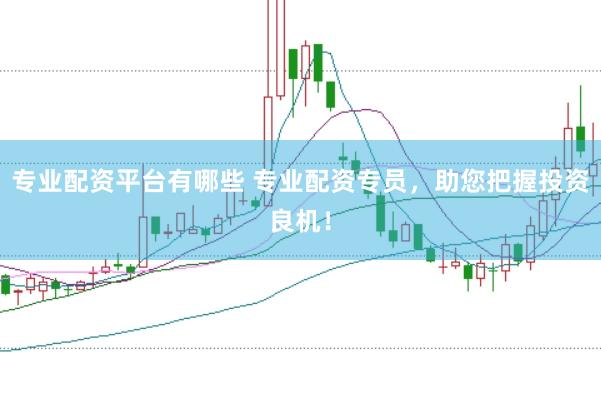 专业配资平台有哪些 专业配资专员，助您把握投资良机！